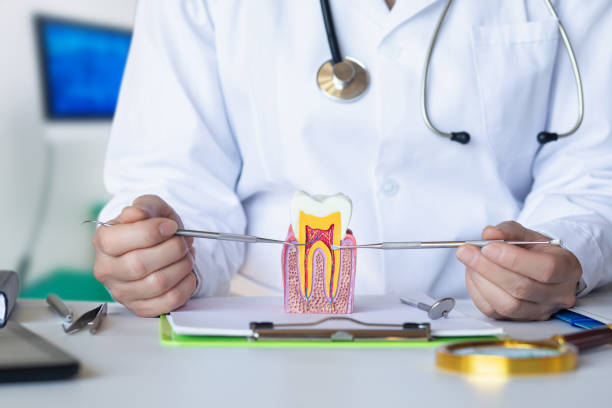 Best Mobile Emergency Dentist in Lexington Park, MD